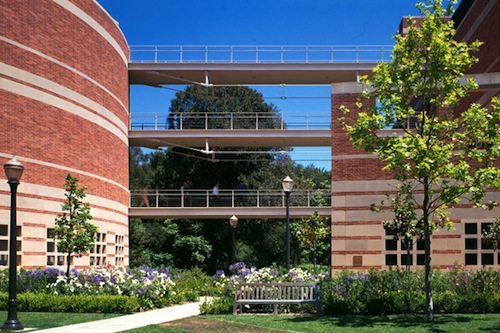 8.  UCLA Anderson School of Management, Université de Californie à Los Angeles, États-Unis