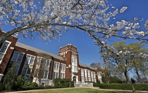 Bibb Graves Hall, framed by the first blooms of Spring, April 1, 2010.